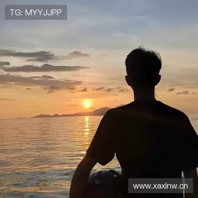 沈秦飚